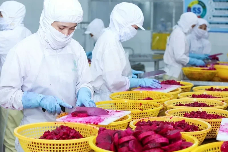 Processing is a solution to help increase the export value of fruit and vegetables.