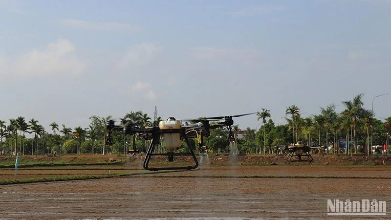 Using drones to spray pesticides in agricultural production in Mo Duc District.