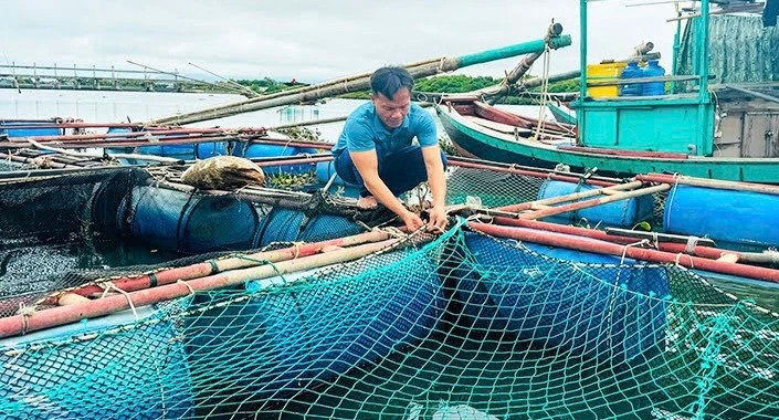 Aquaculture in Ha Tinh