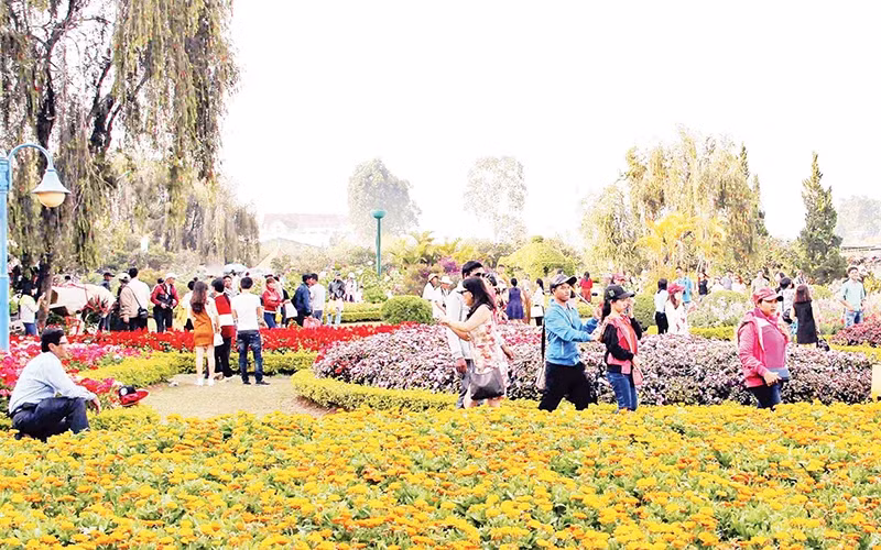 Tourists experience Da Lat — the city of thousands of flowers.
