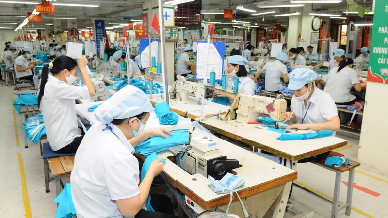 EVFTA helps many products from Vietnam to the EU benefit.