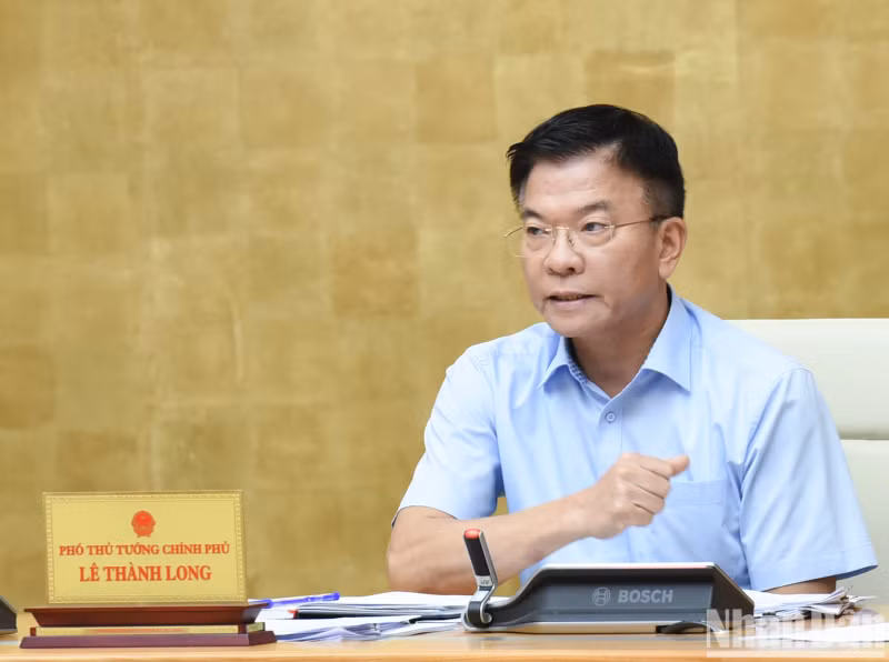 Deputy Prime Minister Le Thanh Long speaks.