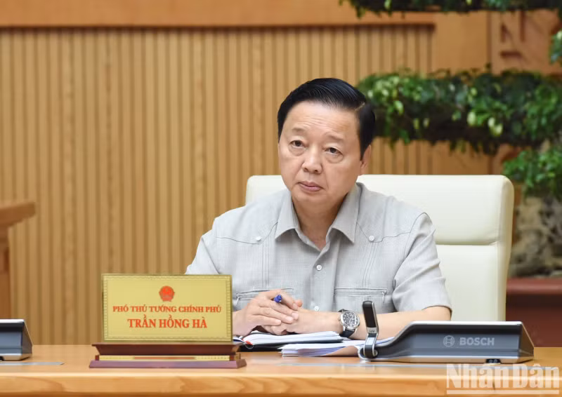 Deputy Prime Minister Tran Hong Ha speaks.