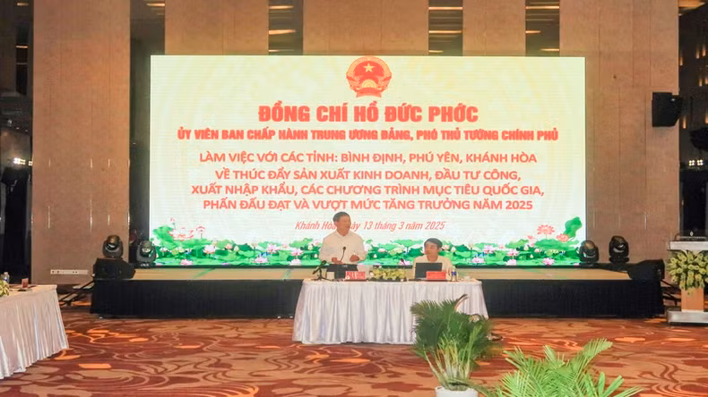 Deputy Prime Minister Ho Duc Phoc delivers a concluding speech at the meeting. (Photo: PHONG NGUYEN)