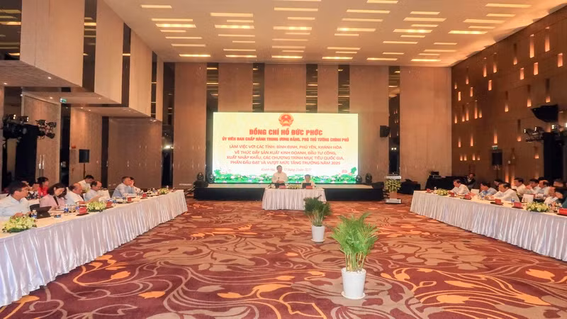 An overview of working session. (Photo: PHONG NGUYEN)