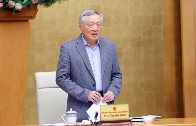 Permanent Deputy Prime Minister Nguyen Hoa Binh addresses the meeting. (Photo: VNA)