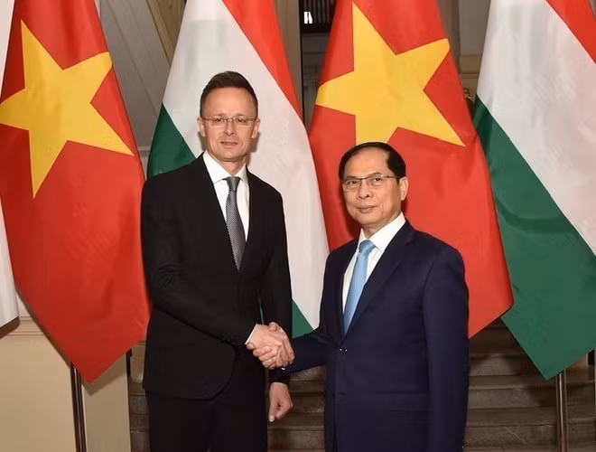 Deputy Prime Minister and Minister of Foreign Affairs Bui Thanh Son (R) shakes hands with Hungarian Minister of Foreign Affairs and Trade Szijjarto Peter. (Photo: VNA) Deputy Prime Minister and Minister of Foreign Affairs Bui Thanh Son (R) shakes hands with Hungarian Minister of Foreign Affairs and Trade Szijjarto Peter. (Photo: VNA)