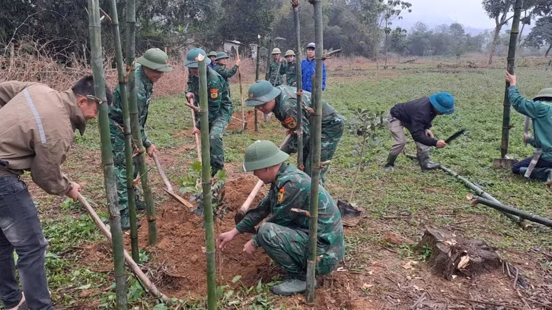 Mon Son Border Guard Station's Youth Union and other forces stationed in the area organise the planting of "Youth Trees" in the stadium area of Mon Son Commune, Con Cuong District.