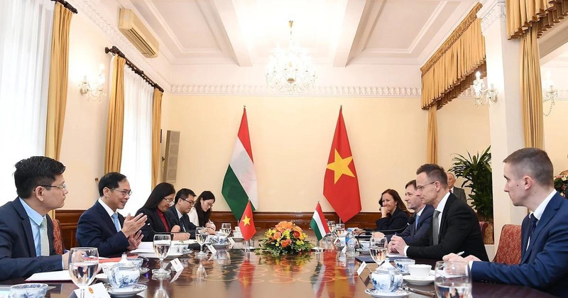 Deputy Prime Minister and Minister of Foreign Affairs Bui Thanh Son (second, left) holds talks with Hungarian Minister of Foreign Affairs and Trade Szijjarto Peter. (Photo: VNA)