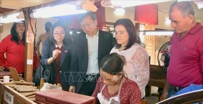 Ambassador Le Quang Long explores the meticulous hand-rolling process of cigars, a traditional art passed down through generations in Cuba. (Photo: VNA)