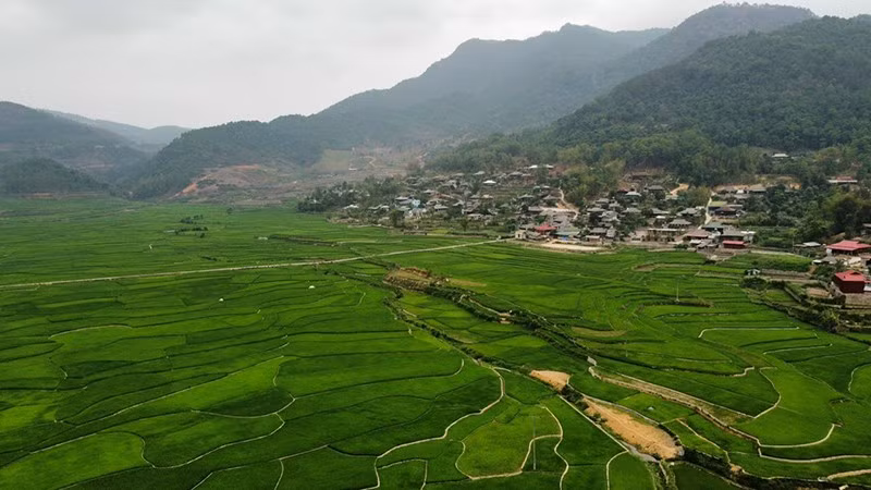Muong Bang rice field in the resettlement village of Huoi Luc. (Photo Khieu Minh)
