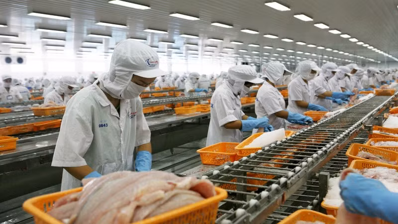 Vietnam becomes the fifth largest exporter of aquatic products to the market for the first time.