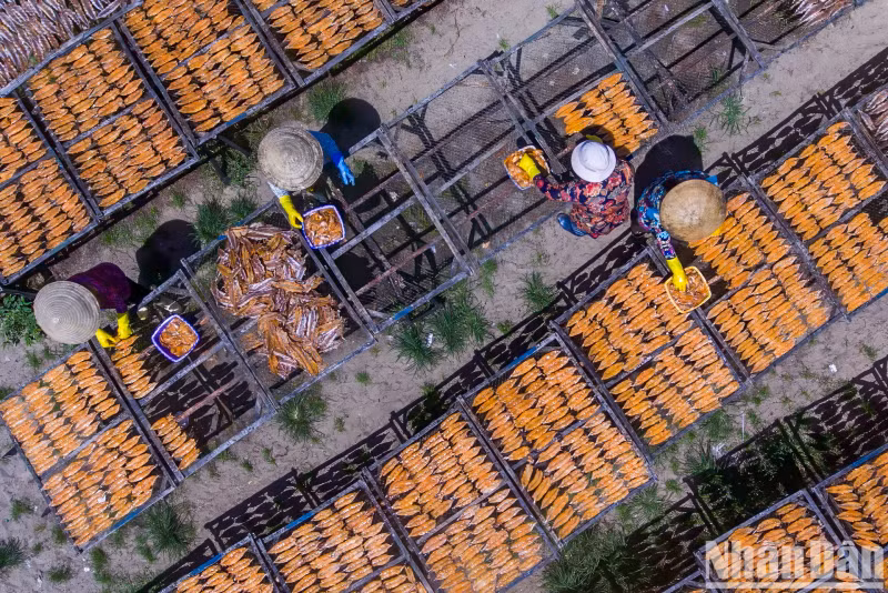 In addition to selling fresh seafood, fishermen also spend time processing and drying it to serve the needs of a customers.