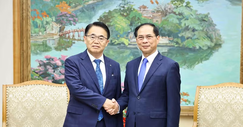 Deputy PM and Minister of Foreign Affairs Bui Thanh Son (R) and Governor of Japan’s Aichi prefecture Omura Hideaki. (Photo: VNA)
