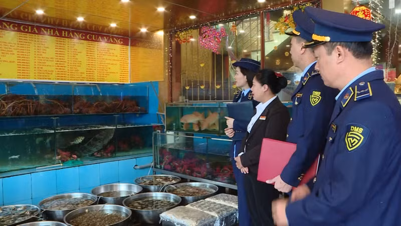 The Quang Ninh Provincial Department of Market Management inspect an eatery in Ha Long City (Photo: Nguyen Trang)