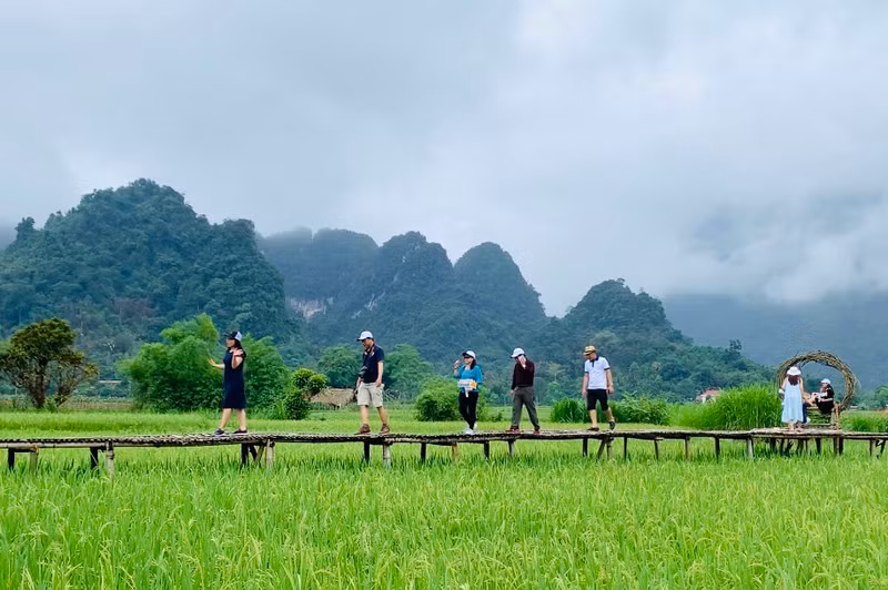 Tourists explore green ricefields in Lam Binh District, Tuyen Quang Province (Photo: VNA)