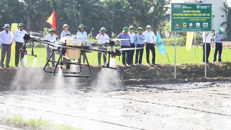 Using drones to spray herbicides and pests on rice plants in Mo Duc District, Quang Ngai Province.