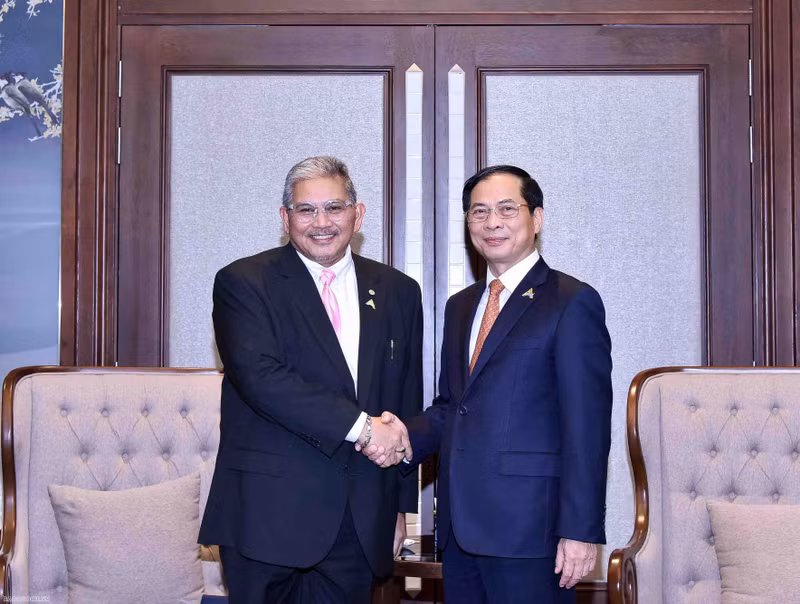  Minister of Foreign Affairs Bui Thanh Son (R) and Second Minister of Foreign Affairs of Brunei Dato Pehin Erywan Yusof. (Photo: baoquocte.vn) 