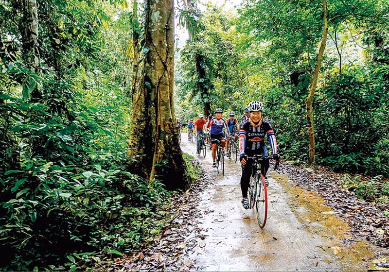 Tourists cycle in Xuan Son National Park in the northern province of Phu Tho. (Photo: baophutho.vn)