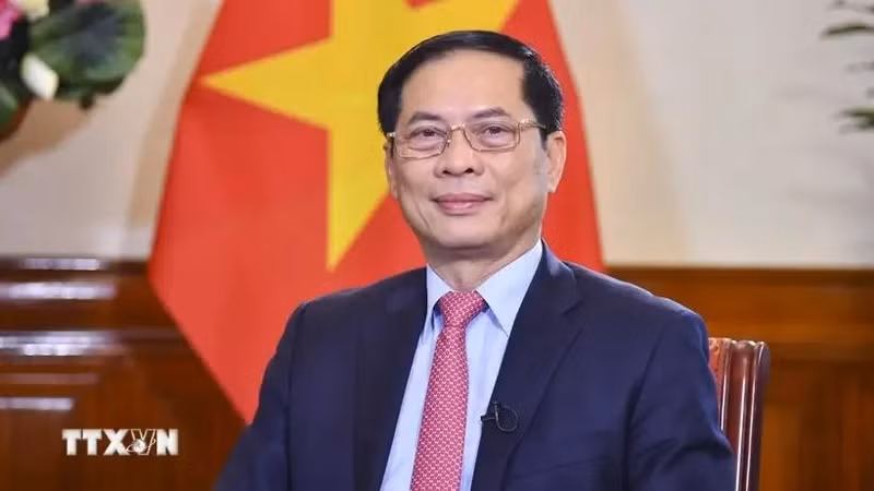 Deputy PM and Minister of Foreign Affairs Bui Thanh Son (Photo: VNA)