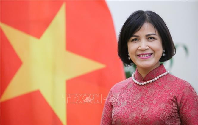 Ambassador Le Thi Tuyet Mai, head of the Permanent Mission of Vietnam to the United Nations, WTO and other international organisations in Geneva (Photo: VNA)