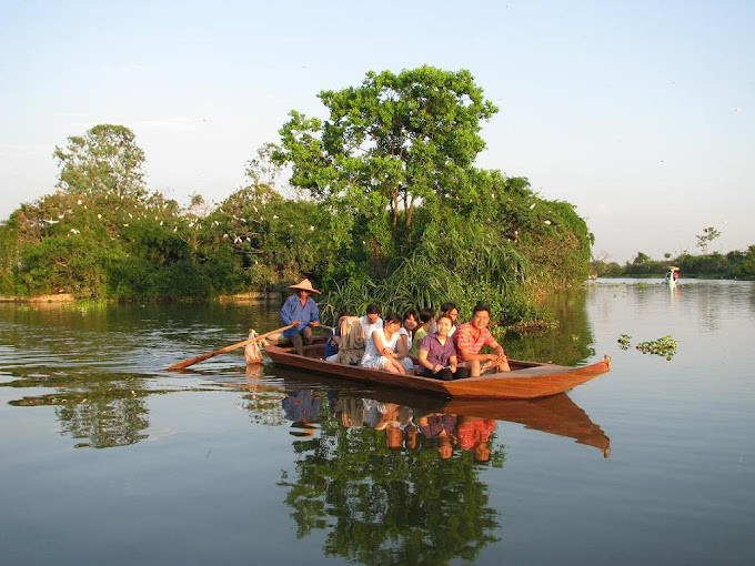 Visitors to Chi Lang Nam Stork Island. (Photo: Nguyen Chinh)