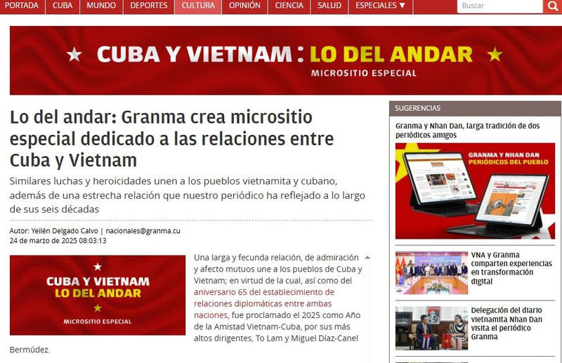 A screenshot of the sub-web (Photo: VNA)