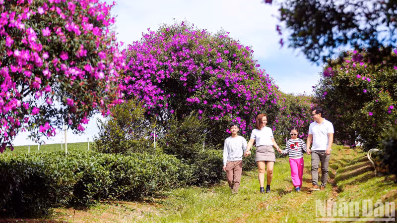 Many tourists bring their families to admire the captivating natural scenery.