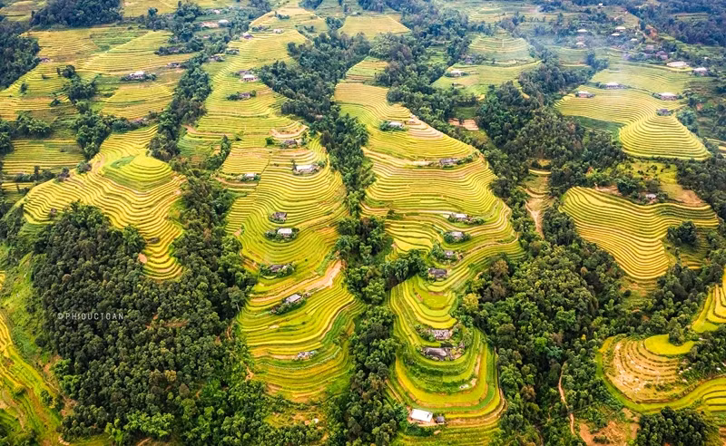 An aerial view of terraced fields in Hoang Su Phi (Photo: Duc Toan)