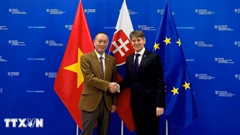 Vietnamese Ambassador Pham Truong Giang (L) and Solvakia's First Deputy Minister of Foreign and European Affairs Marek Estok (Photo: VNA)
