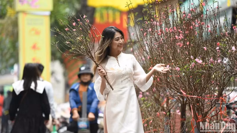 During the 2025 Tet holiday, localities across the country greeted nearly 12.5 million domestic travellers, a 19% increase year-on-year.