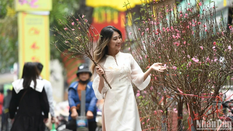 During the 2025 Tet holiday, localities across the country greeted nearly 12.5 million domestic travellers, a 19% increase year-on-year.