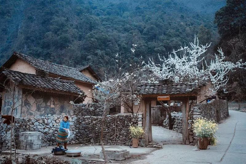 The house of Mua Sua Pao was chosen as the main setting of the film ‘The Story of Pao’ (Photo: mia.vn)
