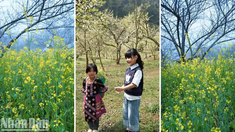 Travellers can lose themselves in the breath-taking beauty of nature and capture the magic of spring in full bloom.