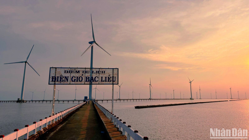 The Bac Lieu Wind Farm has been recognised by the Mekong Delta Tourism Association as a typical tourist destination in the Mekong Delta region.