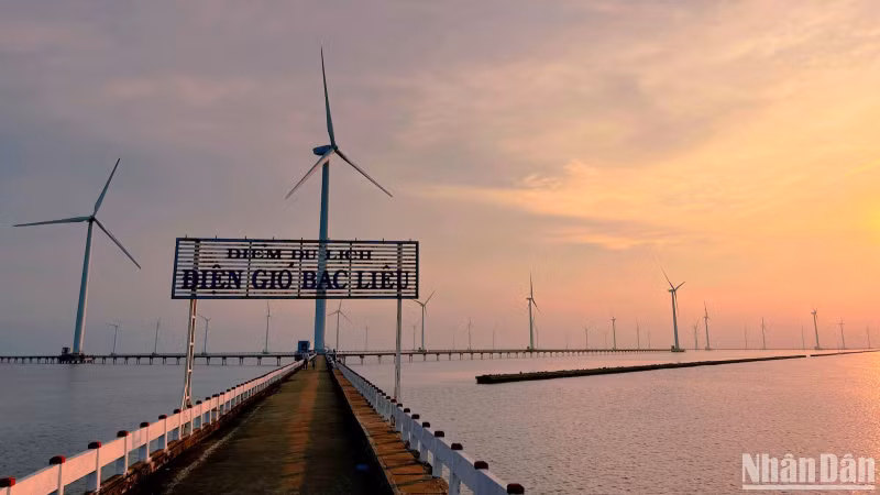 The Bac Lieu Wind Farm has been recognised by the Mekong Delta Tourism Association as a typical tourist destination in the Mekong Delta region.