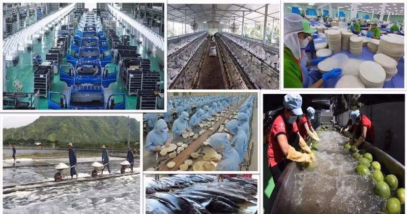 The private economic sector is the most important momentum of the national economy. (Photo: VNA)