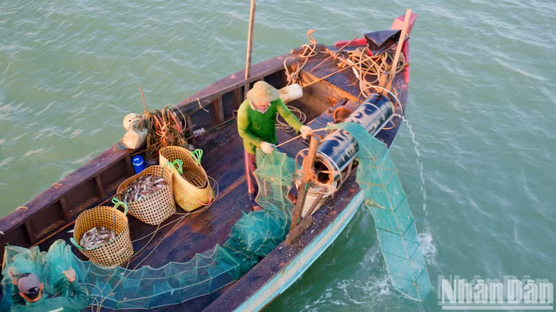 The boats return with fresh seafood catches, bringing much joy for fishermen and their families. The boats return with fresh seafood catches, bringing much joy for fishermen and their families.