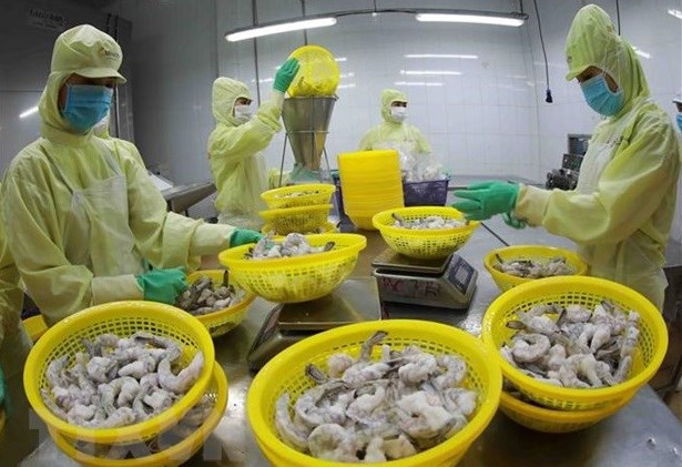Trade between Vietnam and Brunei has yet to match their potential. (Photo: VNA)