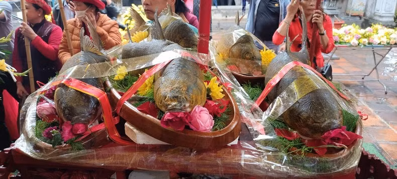 During the festival, it is indispensable to have a fish dish reminiscent of the Tran family's roots as fishermen.