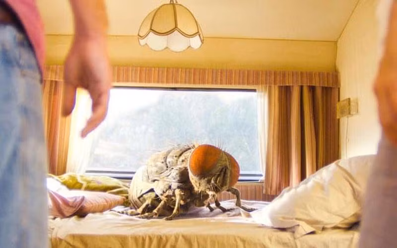 A scene from the movie "Mandibules". (Photo: The Film Magazine)