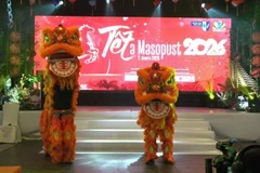 This year’s festival was made more distinctive with the addition of a Vietnamese lion dance performance. (Photo: Courtesy of the Embassy of Viet Nam in the Czech Republic)