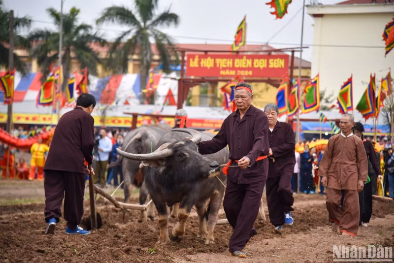 The King will carry out three ploughing lines with the hope for a year of favourable weather, good harvests, and prosperity.