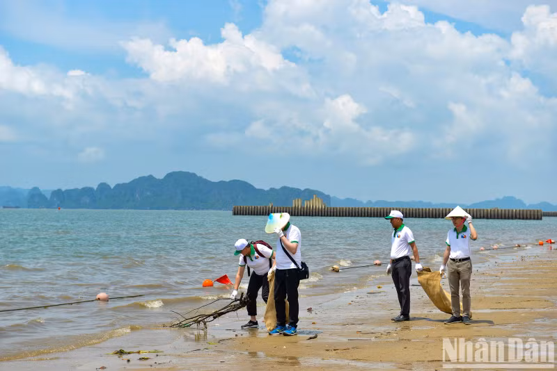 Following the opening ceremony, nearly 200 delegates pick up and collect trash along Bai Chay beach and Ha Long Bay. Following the opening ceremony, nearly 200 delegates pick up and collect trash along Bai Chay beach and Ha Long Bay.