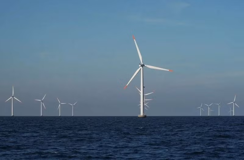 Nysted offshore wind turbines in Denmark. (Photo: Reuters)