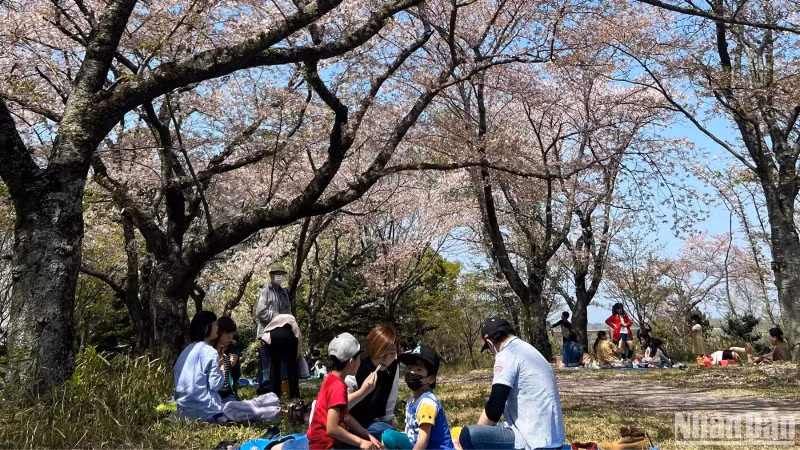 Japan welcomes a large number of international visitors in the first four months of 2024. (Photo: HOA PHAM)