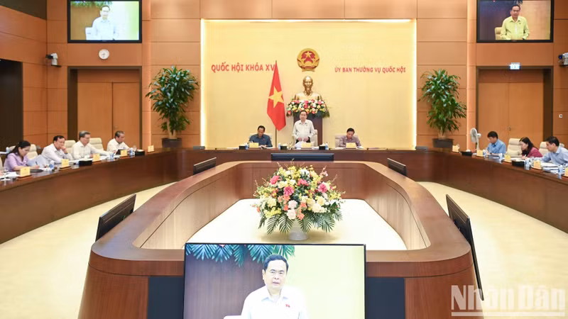 An overview of the meeting.