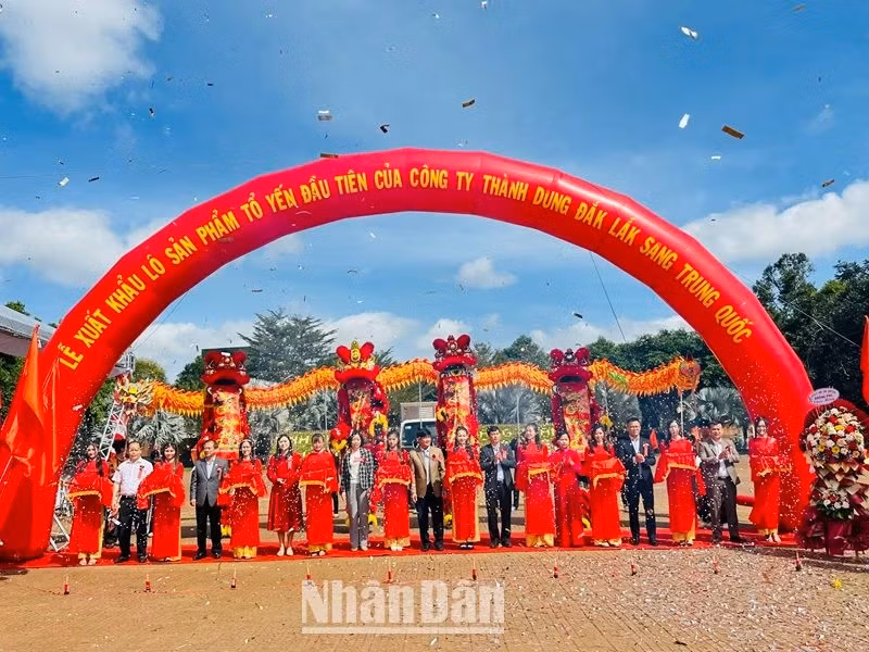 The ribbon cutting ceremony for the first bird’s nest batch of Krong Pac District to China under the official quota.