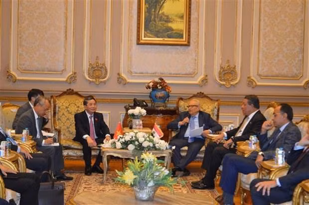 NA Vice Chairman Nguyen Duc Hai works with Deputy Speaker of the Senate Bahaa El-Din Abu Shoqa