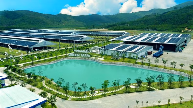 Vinamilk Green Farm features a high-tech agricultural model operating under a closed circular economy.
